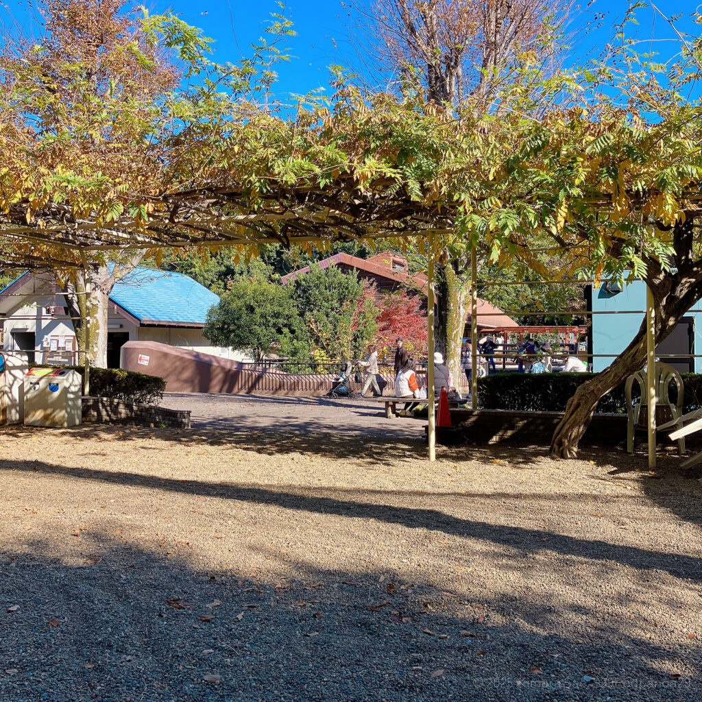 第一放飼場をベンチから眺める