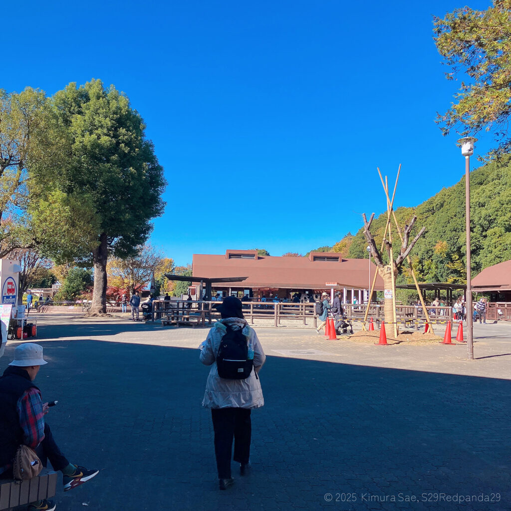 市川市動植物園のメイン広場