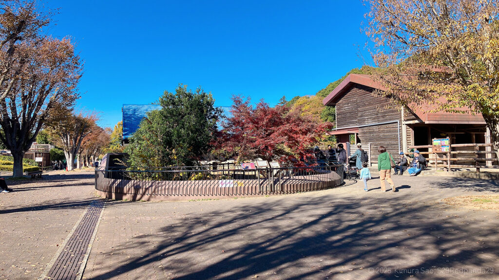 レッサーパンダ第一放飼場