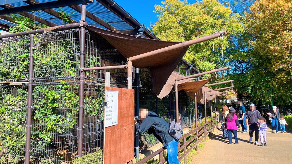 市川市動植物園レッサーパンダ4号舎