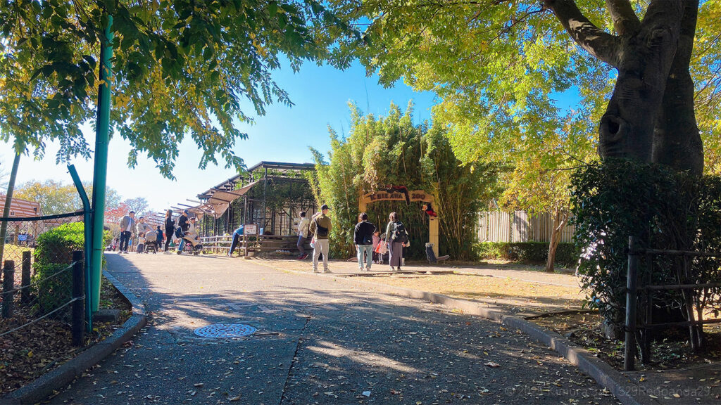 市川市動植物園の西側エリア入り口付近の風景